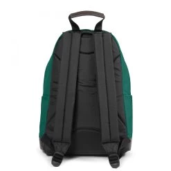 Eastpak Wyoming 24 - Rucksack 40 Cm -Boutique-Taschenladen Eastpak Wyoming 24 Rucksack 40 cm tree green EK0008114D71 3